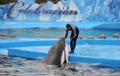 Foto de la galería: San Clemente del Tuyú: Mundo Marino y Playa!!!