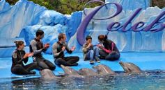 Foto de la galería: San Clemente del Tuyú: Mundo Marino y Playa!!!