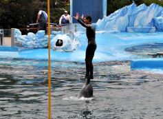Foto de la galería: San Clemente del Tuyú: Mundo Marino y Playa!!!