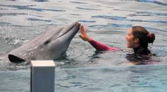 Foto de la galería: San Clemente del Tuyú: Mundo Marino y Playa!!!