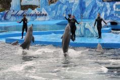 Foto de la galería: San Clemente del Tuyú: Mundo Marino y Playa!!!
