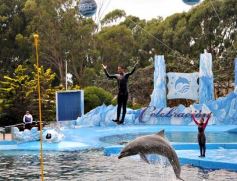 Foto de la galería: San Clemente del Tuyú: Mundo Marino y Playa!!!