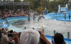 Foto de la galería: San Clemente del Tuyú: Mundo Marino y Playa!!!