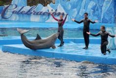 Foto de la galería: San Clemente del Tuyú: Mundo Marino y Playa!!!