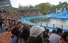 Foto de la galería: San Clemente del Tuyú: Mundo Marino y Playa!!!