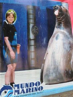 Foto de la galería: San Clemente del Tuyú: Mundo Marino y Playa!!!