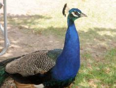 Foto de la galería: San Clemente del Tuyú: Mundo Marino y Playa!!!
