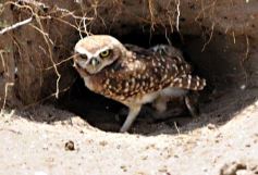 Foto de la galería: San Clemente del Tuyú: Mundo Marino y Playa!!!
