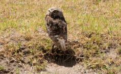 Foto de la galería: San Clemente del Tuyú: Mundo Marino y Playa!!!