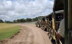 Foto de la galería: San Clemente del Tuyú: Mundo Marino y Playa!!!
