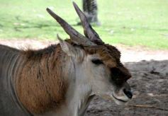 Foto de la galería: San Clemente del Tuyú: Mundo Marino y Playa!!!
