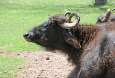 Foto de la galería: San Clemente del Tuyú: Mundo Marino y Playa!!!