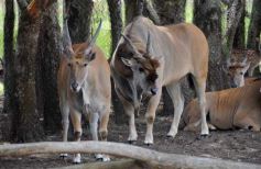 Foto de la galería: San Clemente del Tuyú: Mundo Marino y Playa!!!