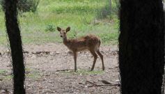 Foto de la galería: San Clemente del Tuyú: Mundo Marino y Playa!!!