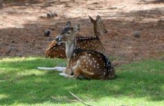 Foto de la galería: San Clemente del Tuyú: Mundo Marino y Playa!!!