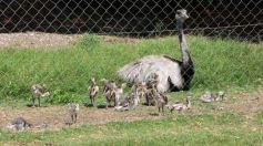 Foto de la galería: San Clemente del Tuyú: Mundo Marino y Playa!!!