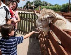 Foto de la galería: San Clemente del Tuyú: Mundo Marino y Playa!!!