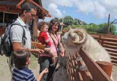 Foto de la galería: San Clemente del Tuyú: Mundo Marino y Playa!!!