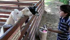 Foto de la galería: San Clemente del Tuyú: Mundo Marino y Playa!!!