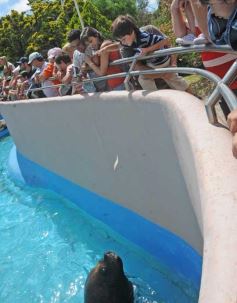 Foto de la galería: San Clemente del Tuyú: Mundo Marino y Playa!!!