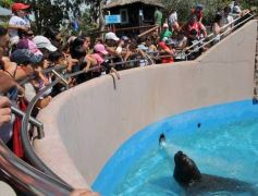 Foto de la galería: San Clemente del Tuyú: Mundo Marino y Playa!!!