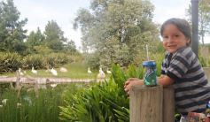 Foto de la galería: Parque Temaikén en Escobar provincia de Buenos Aires