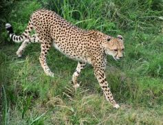Foto de la galería: Parque Temaikén en Escobar provincia de Buenos Aires