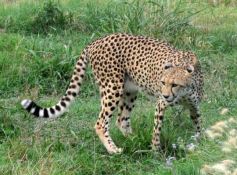 Foto de la galería: Parque Temaikén en Escobar provincia de Buenos Aires