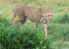 Foto de la galería: Parque Temaikén en Escobar provincia de Buenos Aires