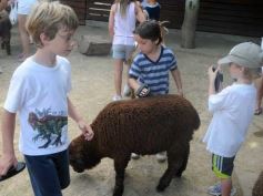 Foto de la galería: Parque Temaikén en Escobar provincia de Buenos Aires