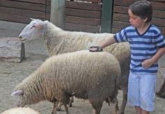 Foto de la galería: Parque Temaikén en Escobar provincia de Buenos Aires