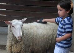 Foto de la galería: Parque Temaikén en Escobar provincia de Buenos Aires