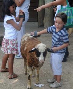 Foto de la galería: Parque Temaikén en Escobar provincia de Buenos Aires