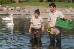 Foto de la galería: Parque Temaikén en Escobar provincia de Buenos Aires