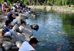 Foto de la galería: Parque Temaikén en Escobar provincia de Buenos Aires