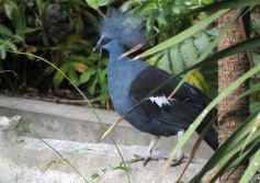 Foto de la galería: Parque Temaikén en Escobar provincia de Buenos Aires