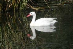 Foto de la galería: Parque Temaikén en Escobar provincia de Buenos Aires
