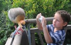 Foto de la galería: Parque Temaikén en Escobar provincia de Buenos Aires