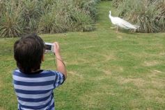 Foto de la galería: Parque Temaikén en Escobar provincia de Buenos Aires