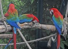 Foto de la galería: Parque Temaikén en Escobar provincia de Buenos Aires