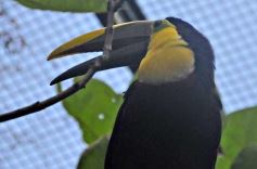 Foto de la galería: Parque Temaikén en Escobar provincia de Buenos Aires