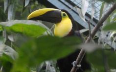 Foto de la galería: Parque Temaikén en Escobar provincia de Buenos Aires