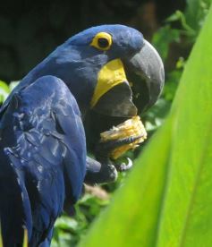 Foto de la galería: Parque Temaikén en Escobar provincia de Buenos Aires
