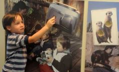 Foto de la galería: Parque Temaikén en Escobar provincia de Buenos Aires