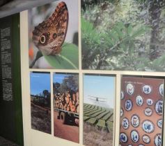 Foto de la galería: Parque Temaikén en Escobar provincia de Buenos Aires