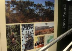 Foto de la galería: Parque Temaikén en Escobar provincia de Buenos Aires