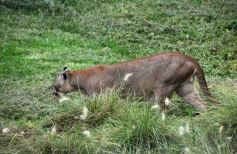 Foto de la galería: Parque Temaikén en Escobar provincia de Buenos Aires