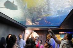 Foto de la galería: Parque Temaikén en Escobar provincia de Buenos Aires