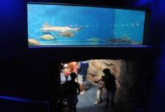 Foto de la galería: Parque Temaikén en Escobar provincia de Buenos Aires