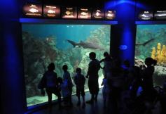 Foto de la galería: Parque Temaikén en Escobar provincia de Buenos Aires